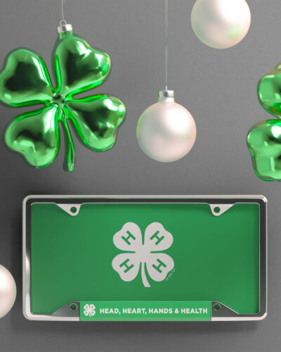 4-H Holiday Promo