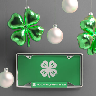 4-H Holiday Promo